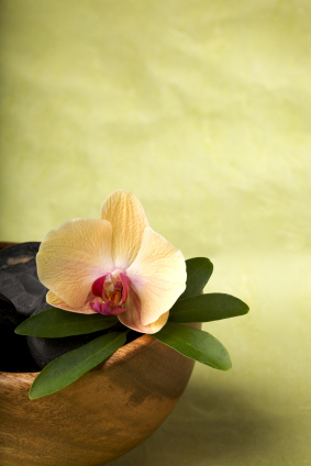 mary-st-pierre-blog4-orchid